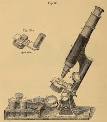 A picture containing diagram
Description automatically generated