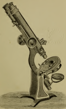 A picture containing text
Description automatically generated