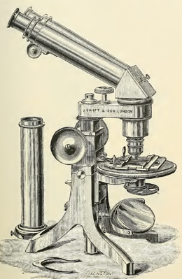 A picture containing old
Description automatically generated