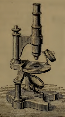 A picture containing wall, indoor, wooden, old
Description automatically generated