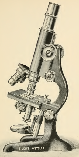 A close-up of an object
Description automatically generated with medium confidence