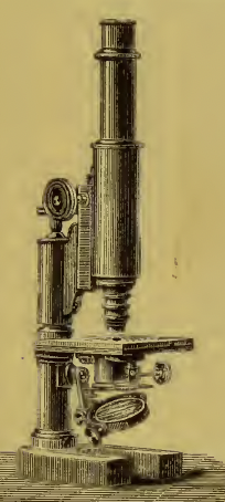 A picture containing text, wall, indoor, old
Description automatically generated
