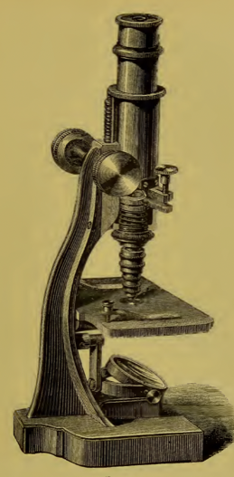 A picture containing wall, indoor
Description automatically generated