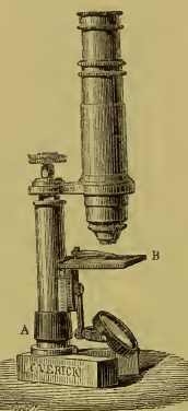A picture containing text, indoor, wall, old
Description automatically generated