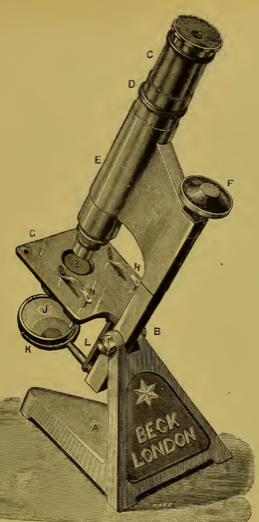 A picture containing text
Description automatically generated