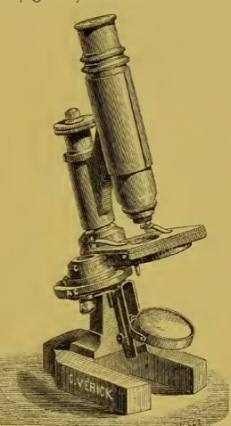 A picture containing wall, indoor, old
Description automatically generated