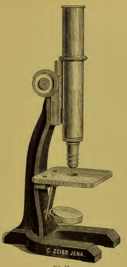 A picture containing wall, indoor
Description automatically generated