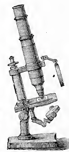 A picture containing old
Description automatically generated