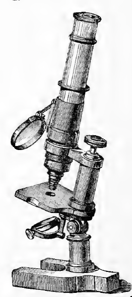 A picture containing old
Description automatically generated