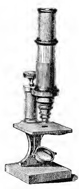 A picture containing indoor, old
Description automatically generated