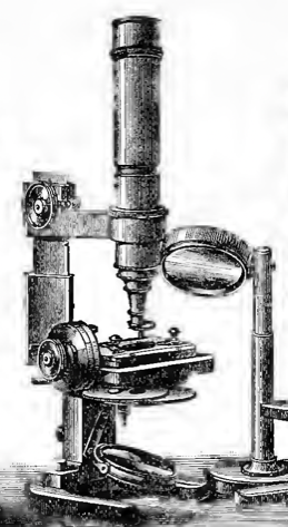 A picture containing old
Description automatically generated