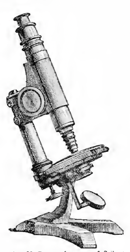 A picture containing weapon
Description automatically generated