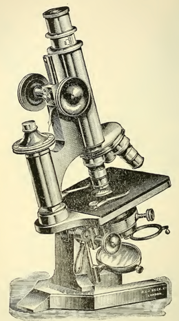 A picture containing old
Description automatically generated