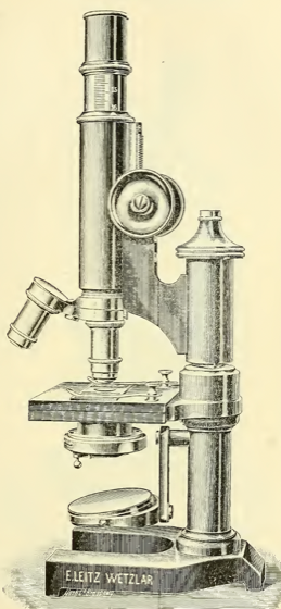A picture containing indoor, old
Description automatically generated