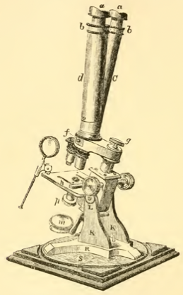 A picture containing text, old
Description automatically generated