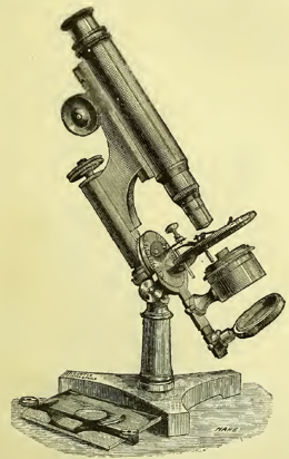 A picture containing gear
Description automatically generated