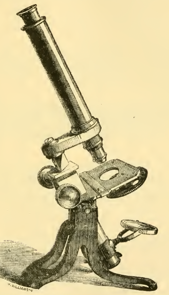 A picture containing old
Description automatically generated