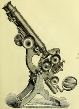 A picture containing weapon
Description automatically generated