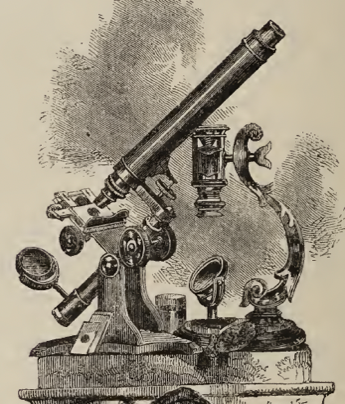 A picture containing text
Description automatically generated