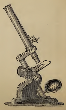 A picture containing text
Description automatically generated