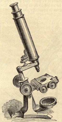 A picture containing old
Description automatically generated