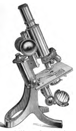 A close-up of an object
Description automatically generated with medium confidence