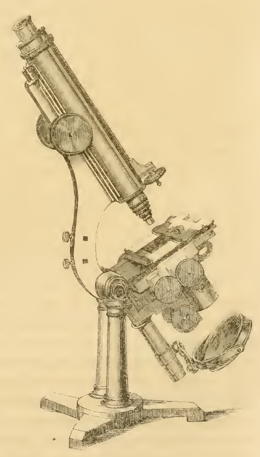 A picture containing text
Description automatically generated