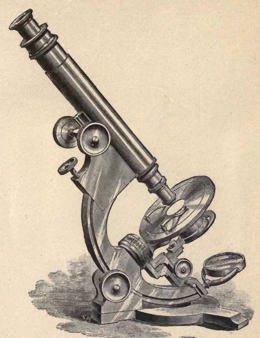 A picture containing weapon
Description automatically generated