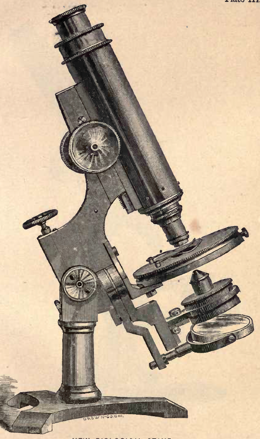 A picture containing weapon
Description automatically generated