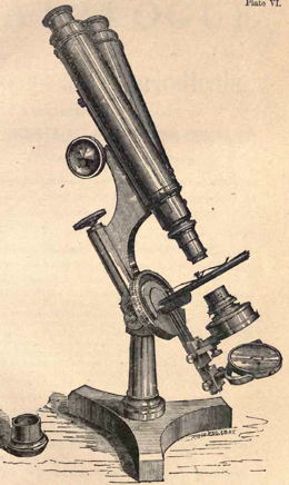 A picture containing text, old
Description automatically generated