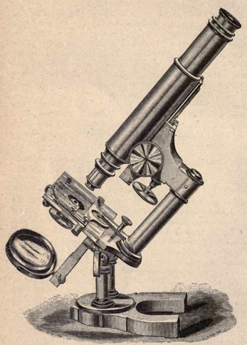 A picture containing weapon
Description automatically generated