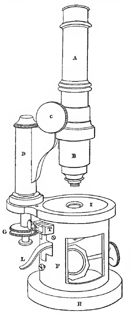 A picture containing text
Description automatically generated