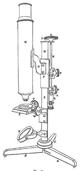 A picture containing text, linedrawing
Description automatically generated