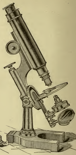A picture containing text, wall, indoor, old
Description automatically generated