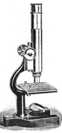 A picture containing pole
Description automatically generated