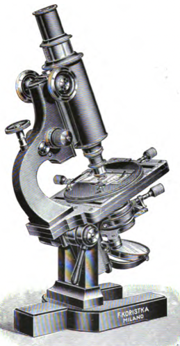 A picture containing silver
Description automatically generated