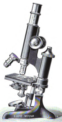 A close-up of an object
Description automatically generated with low confidence
