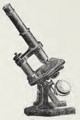 A picture containing weapon
Description automatically generated