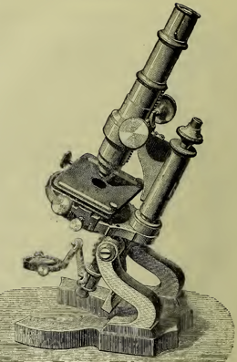A close-up of an object
Description automatically generated with low confidence