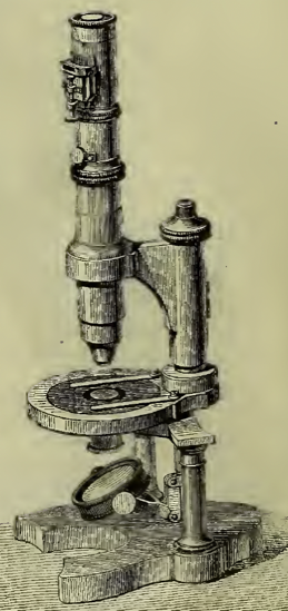 A picture containing wall, indoor, old
Description automatically generated