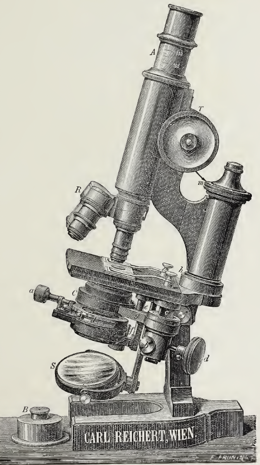 A picture containing old
Description automatically generated
