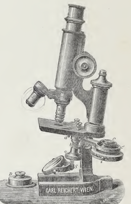 A picture containing indoor, old
Description automatically generated