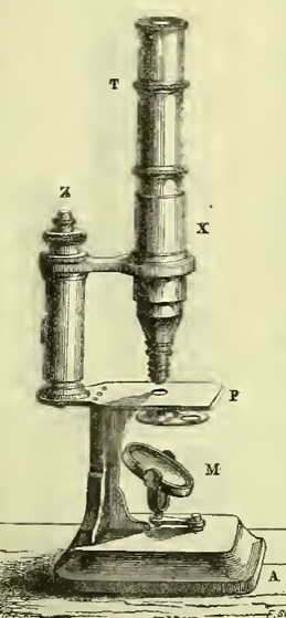 A picture containing indoor, old
Description automatically generated
