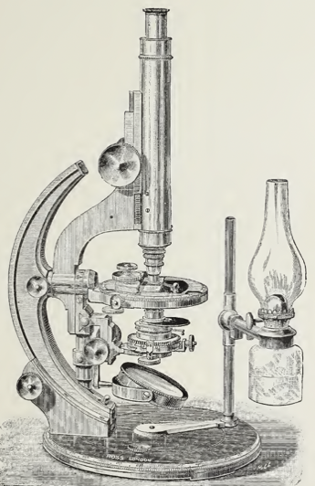 A picture containing text, indoor, old, linedrawing
Description automatically generated