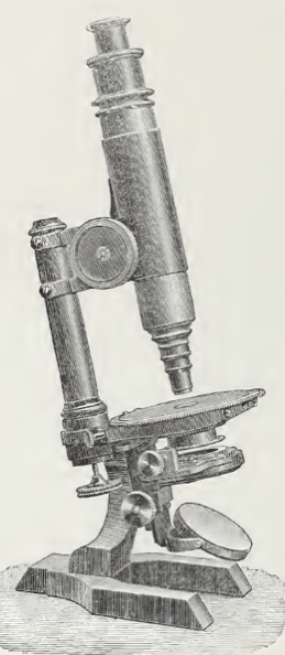 A picture containing wall, indoor, old, weapon
Description automatically generated