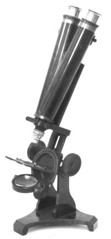 Bracegirdle (2005) A catalogue of the microscopy collections at the ...