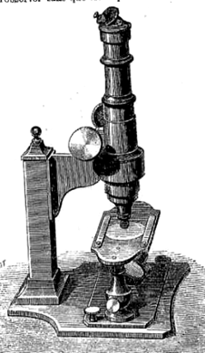 Microscope de dissection, d’après le professeur Ch. Robin