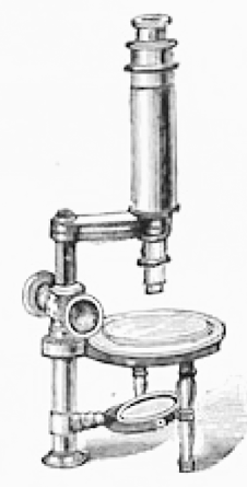 Townson & Mercer’s catalogue (1894)