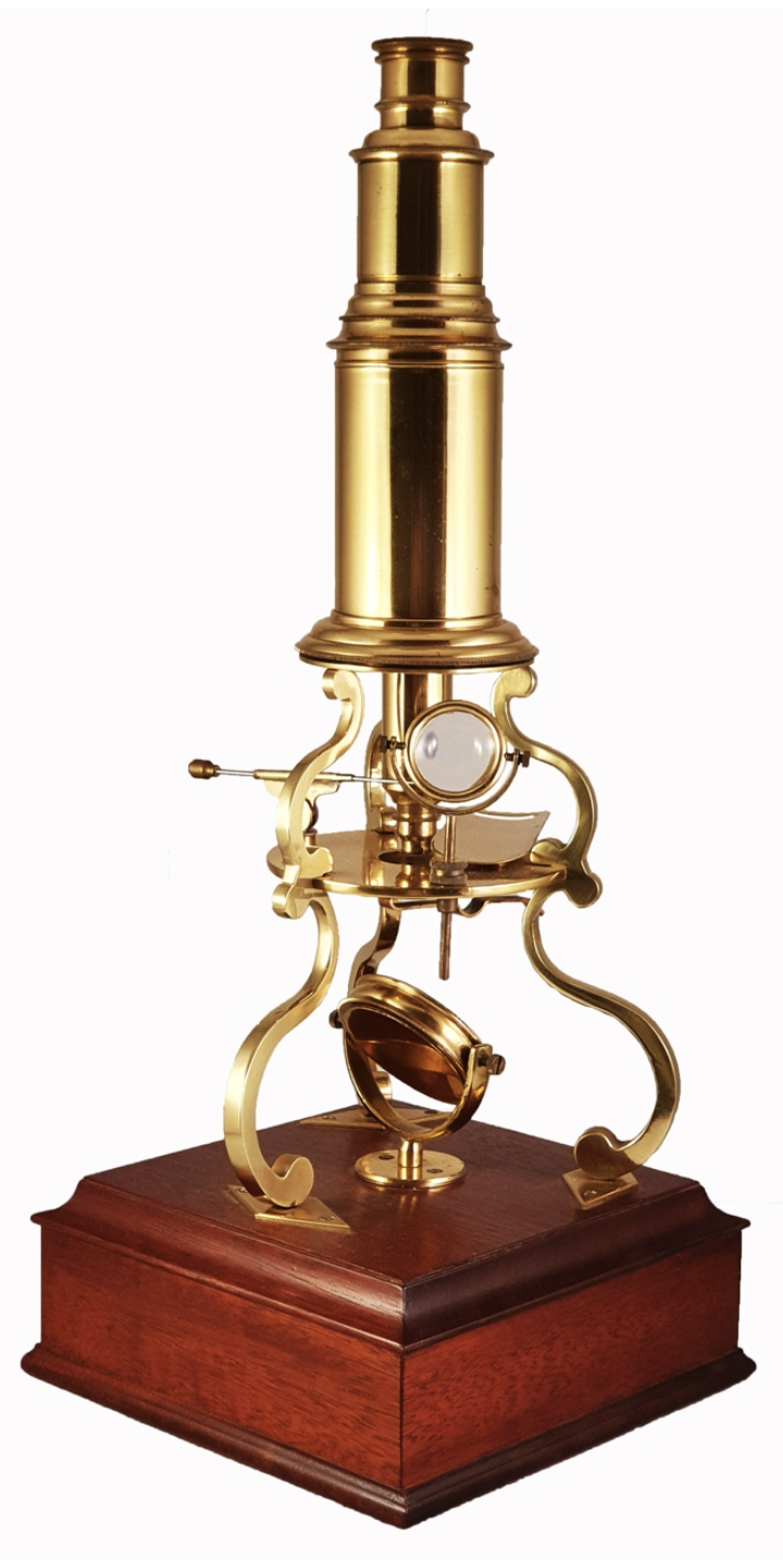 A Picture Containing IndoorDescription Automatically Generated a-picture-containing-indoordescription-automatically-generated