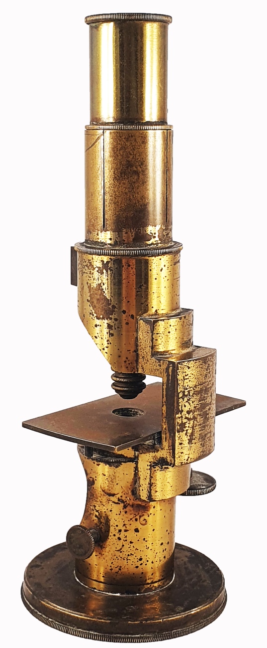 A close-up of a gold objectDescription automatically generated